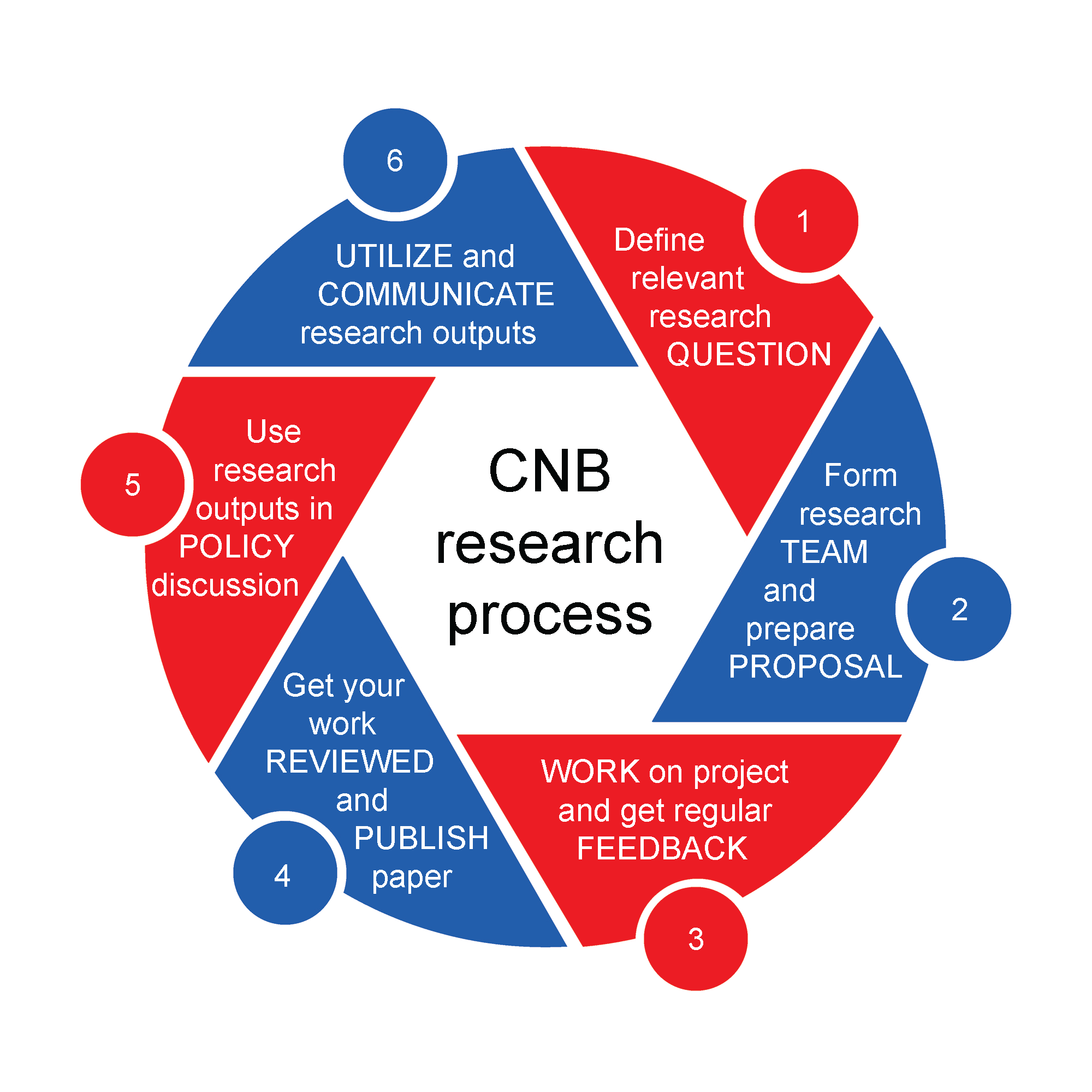 CNB´s Research Process