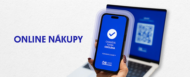Okamžité platby – online nákup