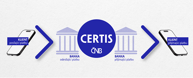 Okamžité platby – schéma