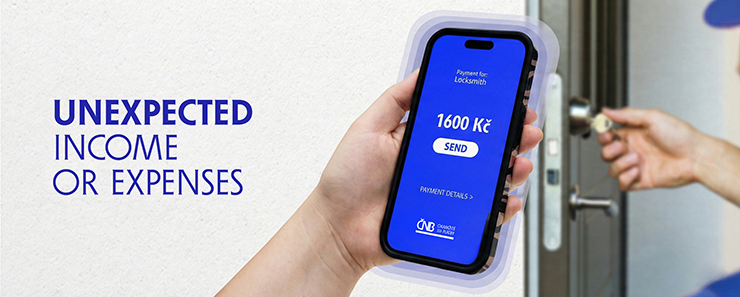 Instatnt payments – unexpected expenses